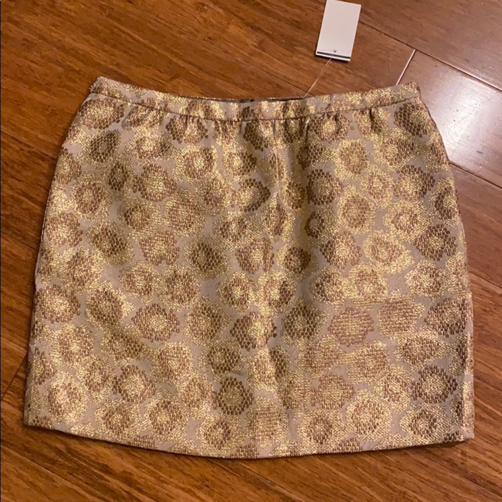 J.Crew Metallic Skirt